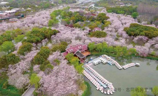 乐章评测：楼盘优缺点分析能不能买一文读懂尊龙凯时人生就是搏平台2024招商时代(图7)